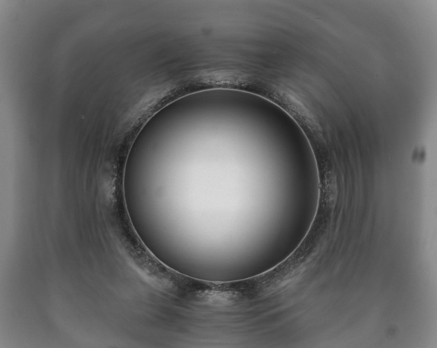 X0000090700255200707271115