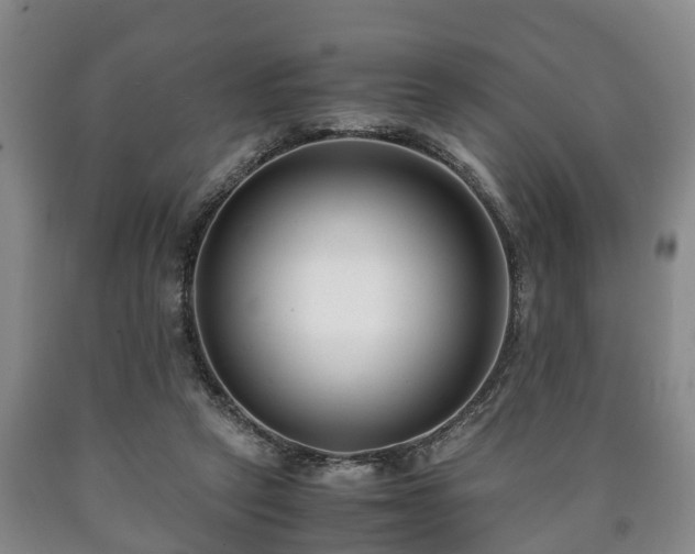 X0000090700257200707271115