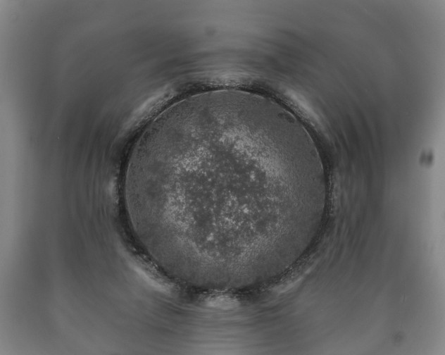 X0000090700258200707271115