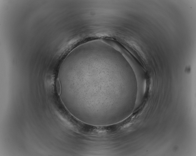 X0000090700260200707271115