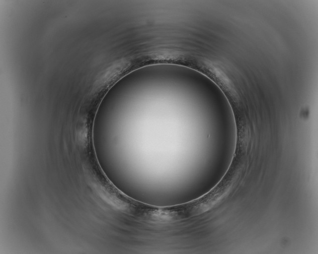 X0000090700261200707271115