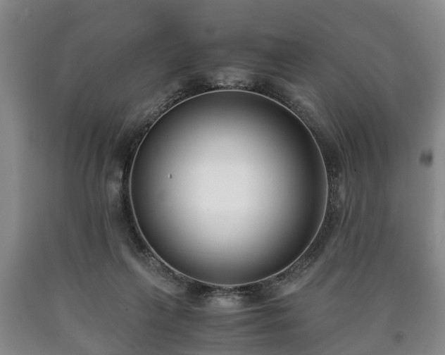 X0000090700263200707271115