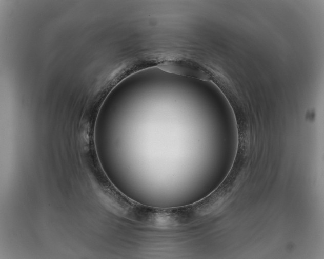 X0000090700264200707271115