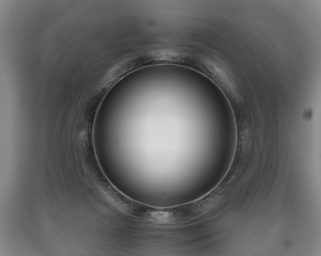 X0000090700265200707271115