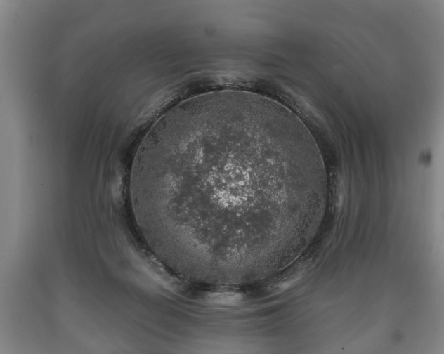 X0000090700266200707271115