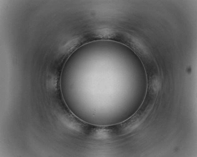 X0000090700268200707271115