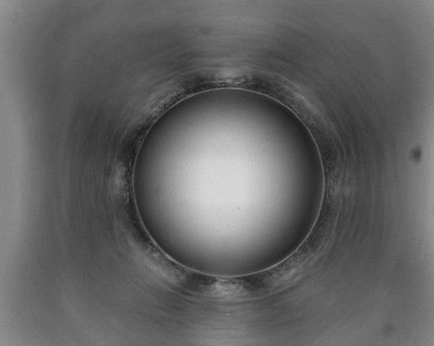 X0000090700270200707271115