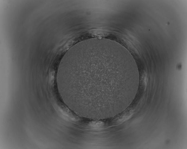 X0000090700271200707271115