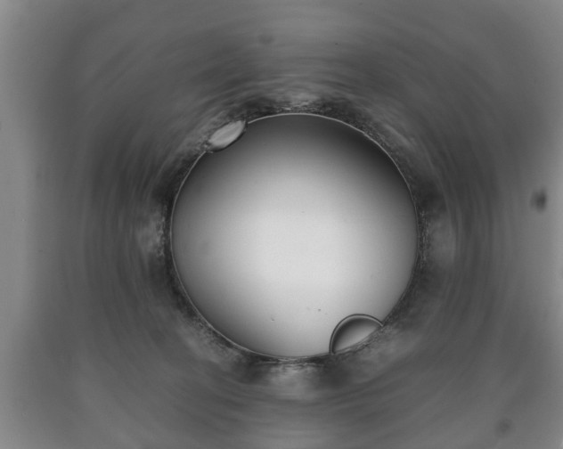 X0000090700274200707271115