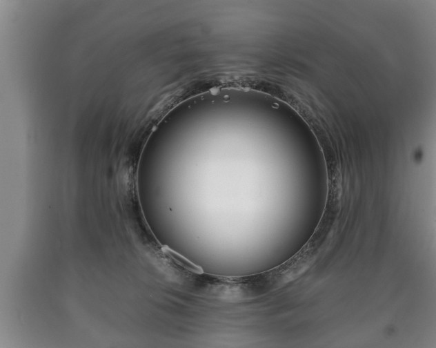 X0000090700276200707271115