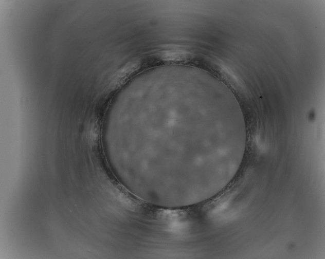 X0000090700277200707271115