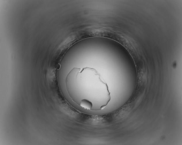 X0000090700278200707271115