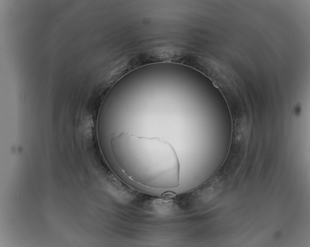 X0000090700279200707271115