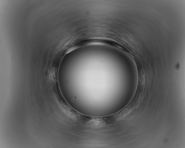 X0000090700280200707271115