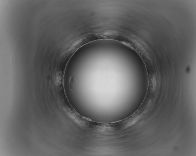 X0000090700284200707271116