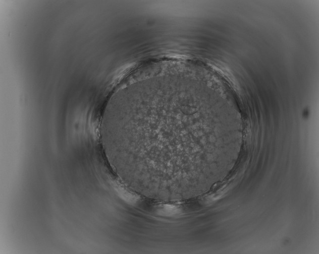 X0000090700285200707271116