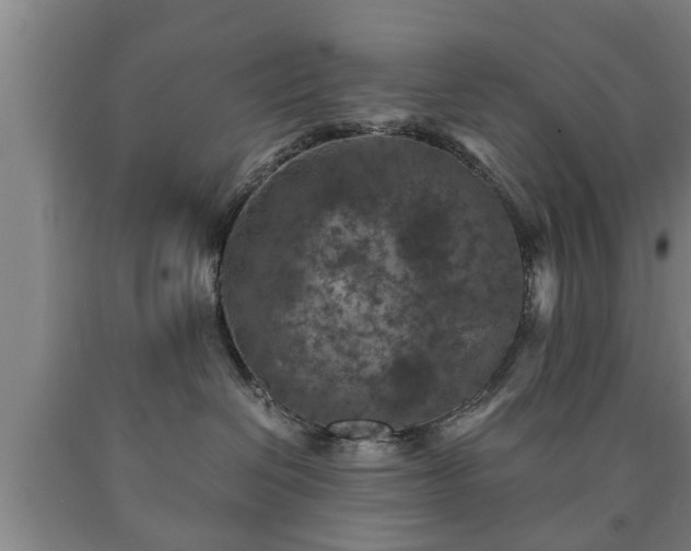 X0000090700286200707271116