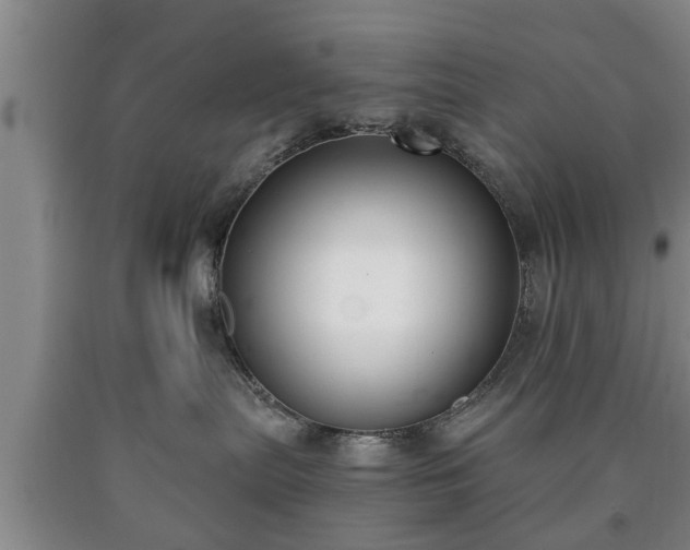 X0000090700287200707271116