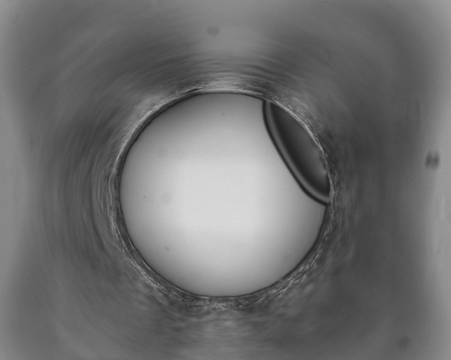 X0000090700289200707271115