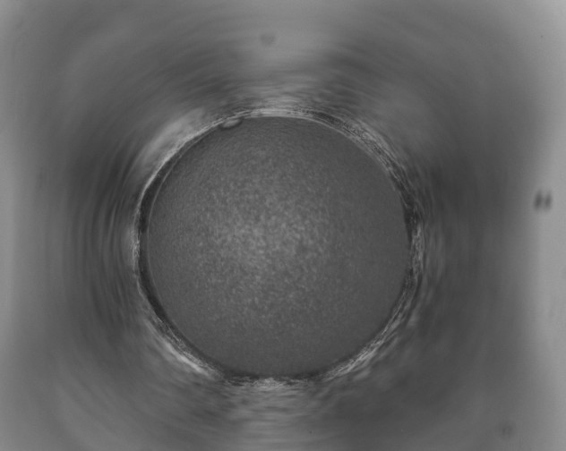 X0000090700290200707271115