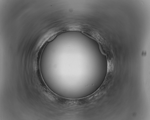 X0000090700291200707271115