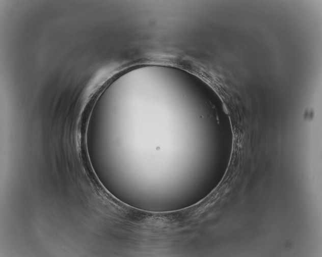 X0000090700294200707271115