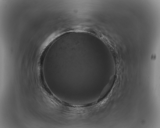 X0000090700295200707271115