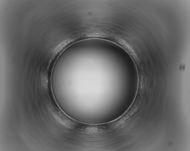 X0000090700298200707271115