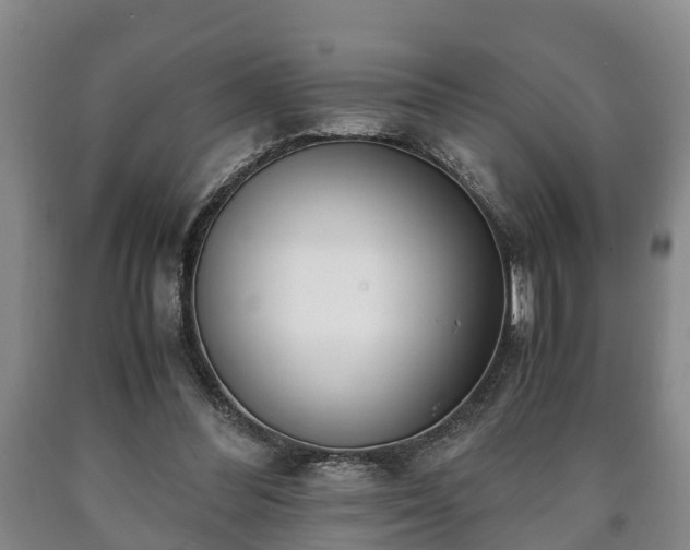 X0000090700300200707271114