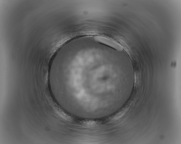 X0000090700301200707271114