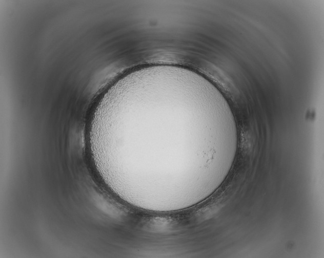 X0000090700302200707271114