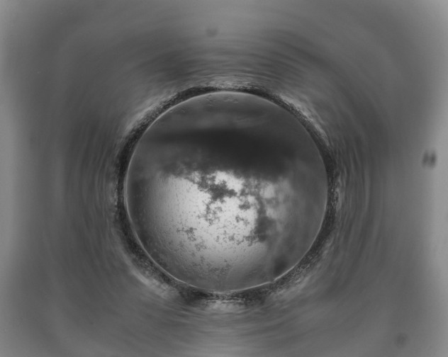 X0000090700303200707271114