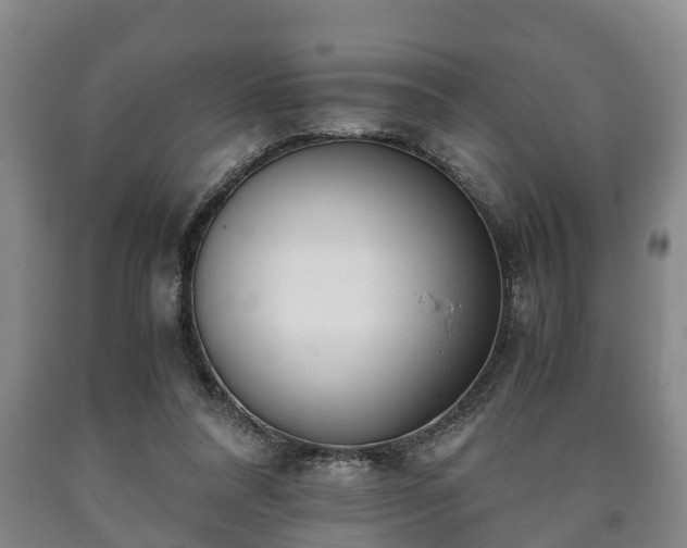 X0000090700304200707271114