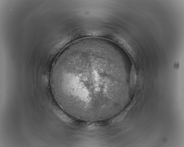 X0000090700305200707271114