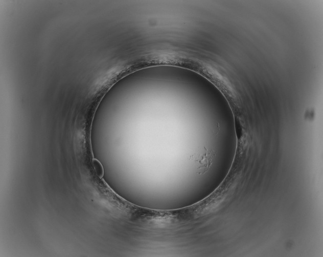 X0000090700306200707271114