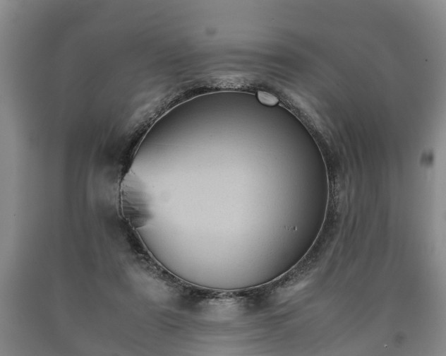 X0000090700307200707271114