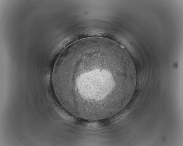 X0000090700309200707271114