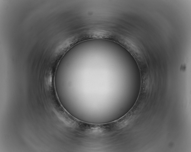 X0000090700310200707271114