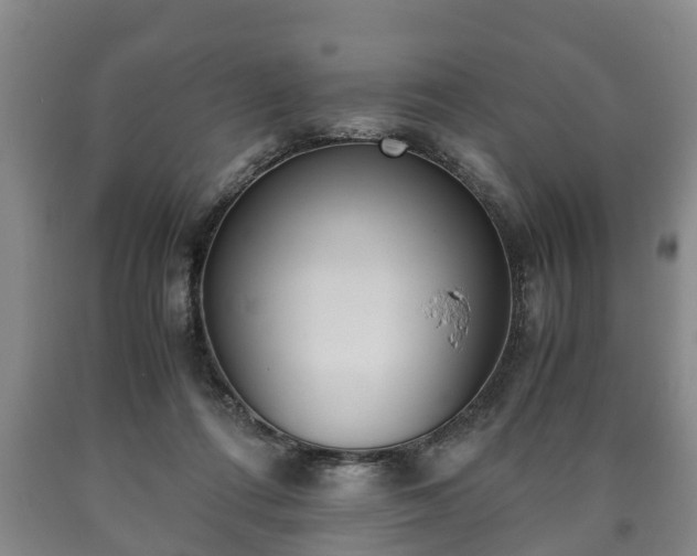 X0000090700312200707271114