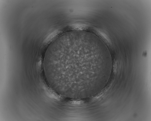 X0000090700314200707271114