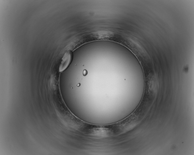 X0000090700316200707271114