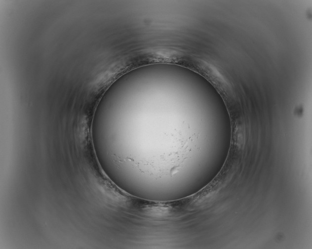 X0000090700318200707271114