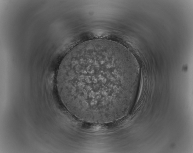 X0000090700319200707271114