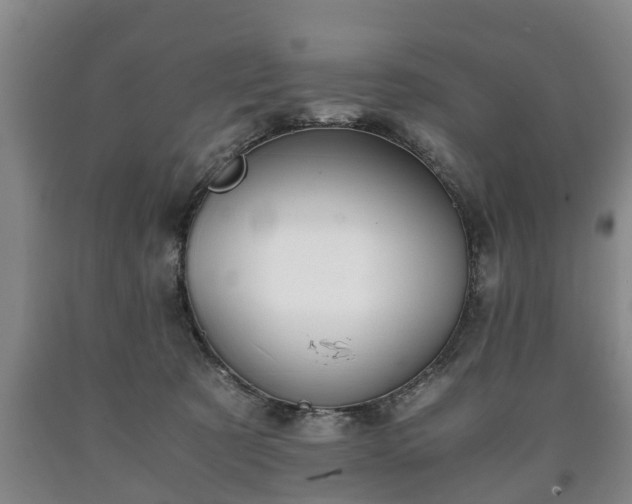 X0000090700321200707271114