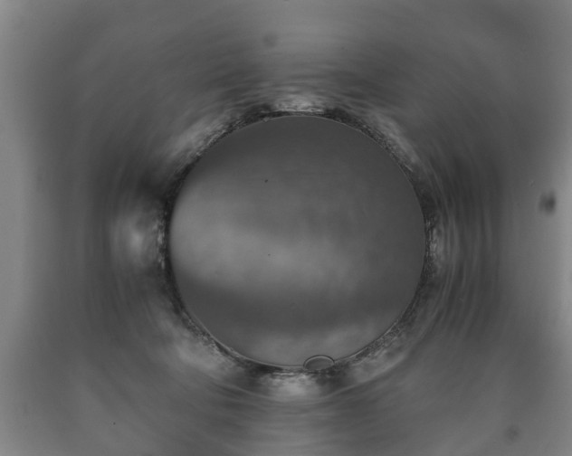 X0000090700322200707271114