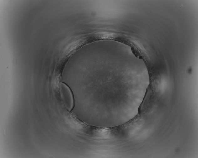 X0000090700325200707271114