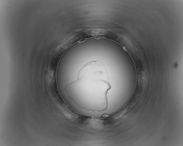 X0000090700327200707271114