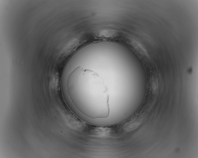 X0000090700328200707271114