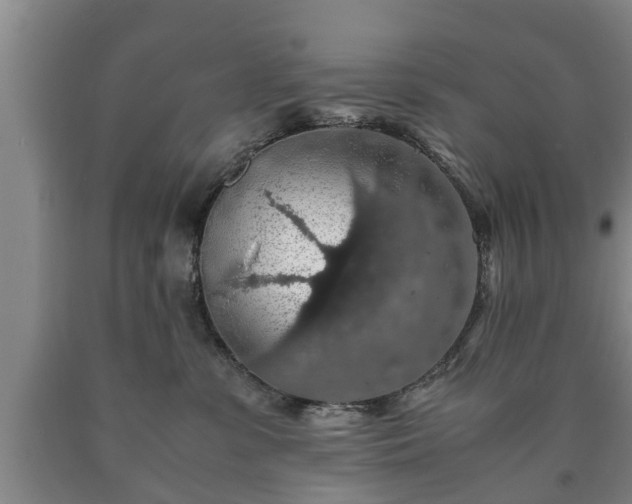 X0000090700331200707271114