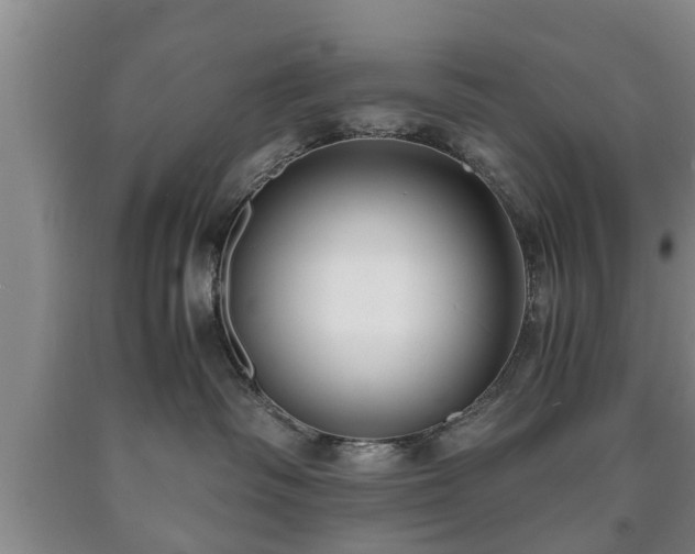 X0000090700334200707271114